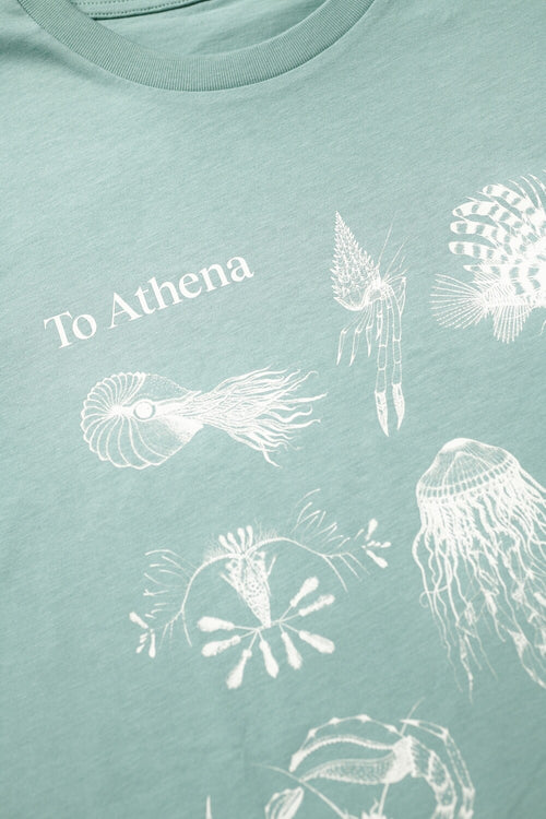 "Aquatic Ballet" T-Shirt